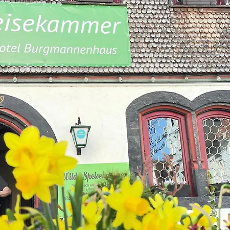 מלון Burgmannenhaus Steinau an der Straße
