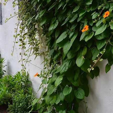 Burgmannenhaus 3* Steinau an der Straße