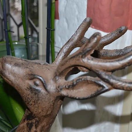 Burgmannenhaus Steinau an der Straße