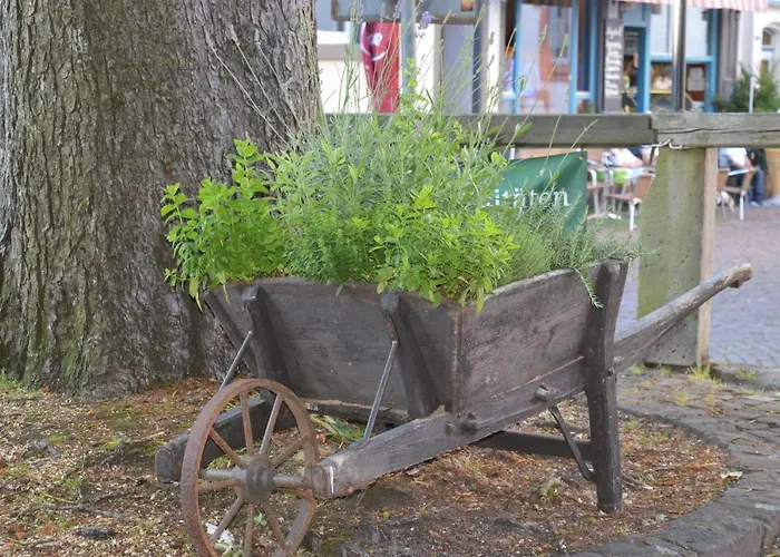 Hotel Burgmannenhaus Steinau an der Straße