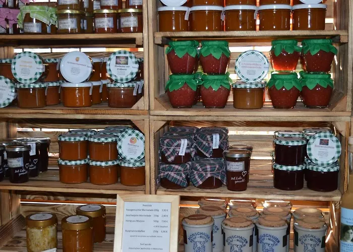 Hotel Burgmannenhaus Steinau an der Straße