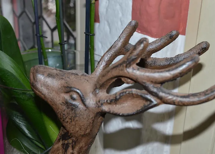 Burgmannenhaus Steinau an der Straße